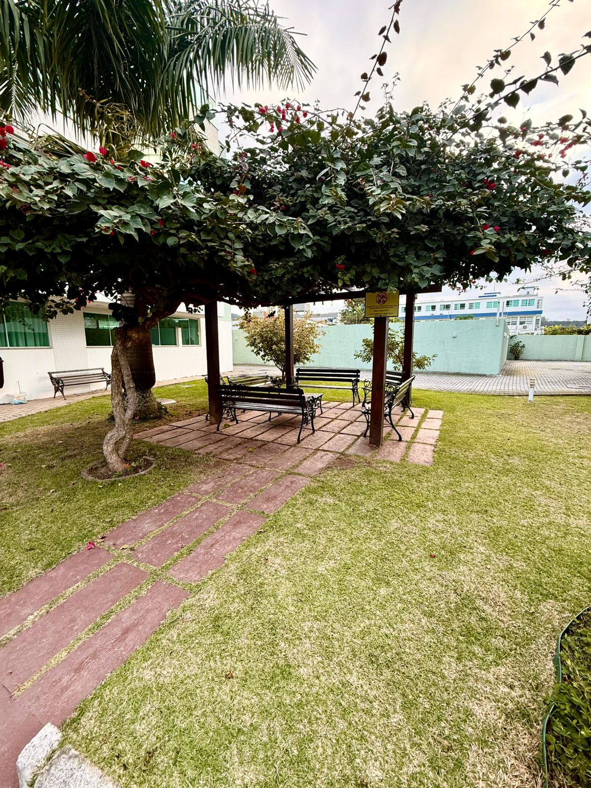 Imagen 4